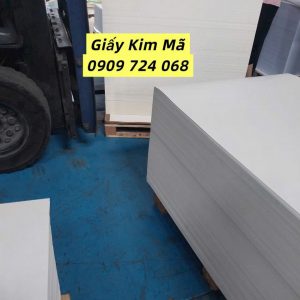 Giấy Kim Mã Hồ Chí Minh (9)