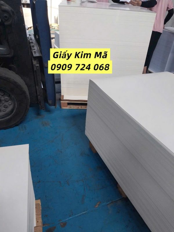 Giấy Kim Mã Hồ Chí Minh (9)